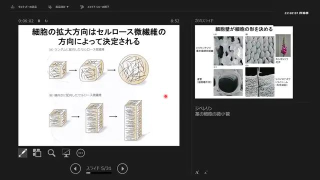 植物生理学_1009