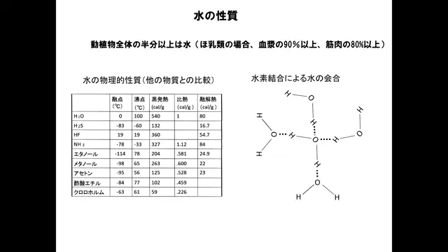 食品化学_1010