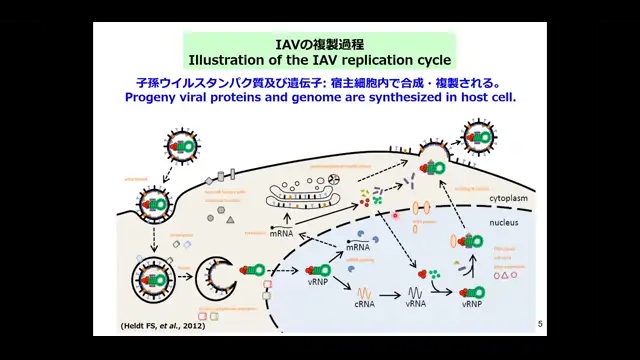 動物病態・病因制御学特論Ⅱ_1014