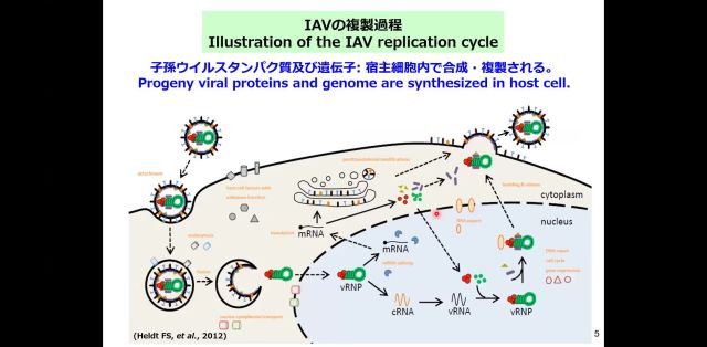 動物病態・病因制御学特論Ⅱ_1014
