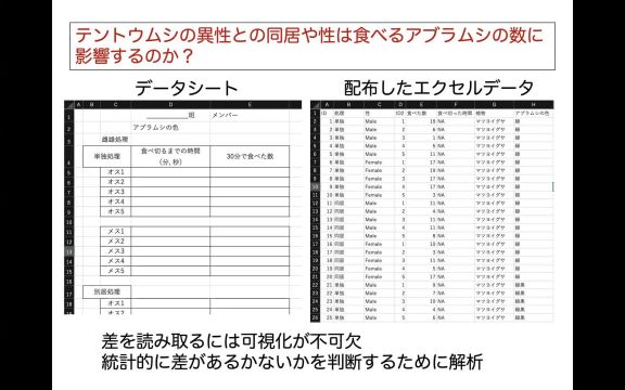環境生態学実習Ⅱ_1014