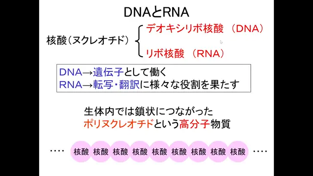 分子生物学_1014