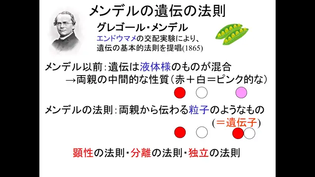 分子生物学_1021