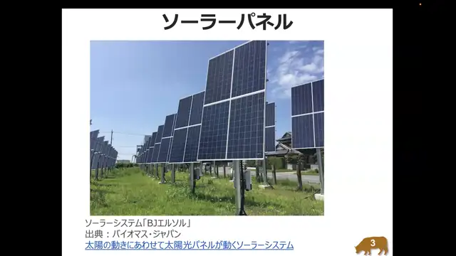 植物生態学_1021