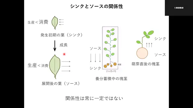 園芸作物学_1022