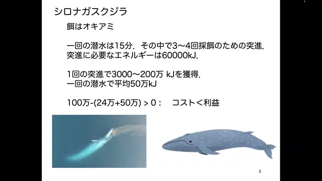 動物生態学_1022