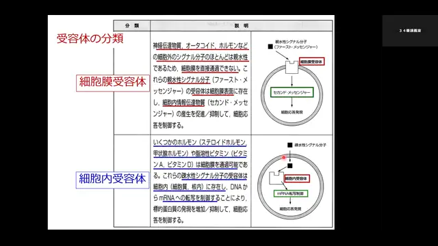 病態薬理学_1024