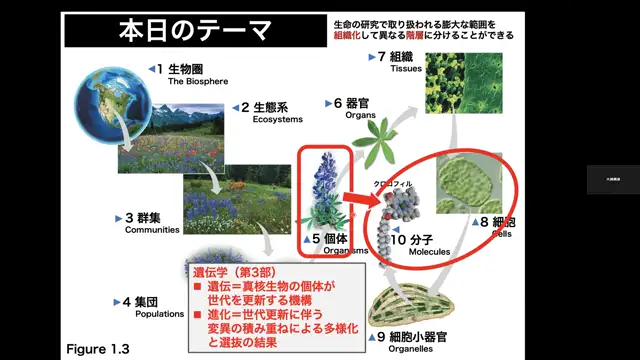 生物学概論_1024