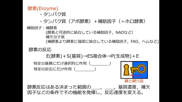 食品製造学_1028