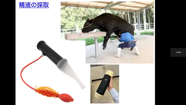 家畜繁殖学_1029