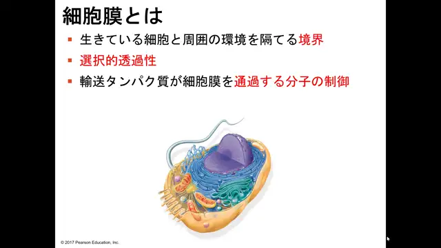 細胞生物学_1030