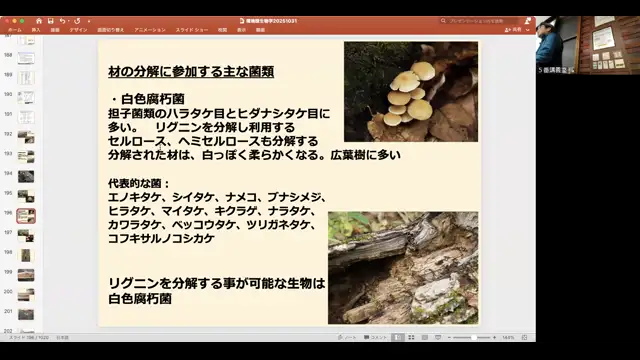 環境微生物学_1031