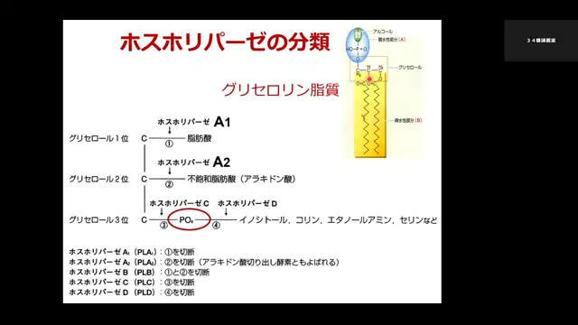 病態薬理学_1031