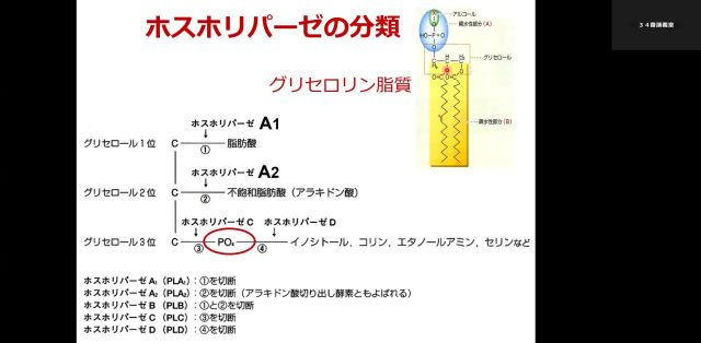 病態薬理学_1031