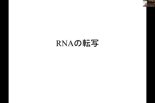 分子生物学_1104