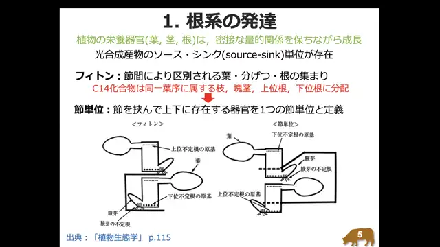 植物生態学_1104
