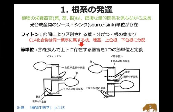 植物生態学_1104
