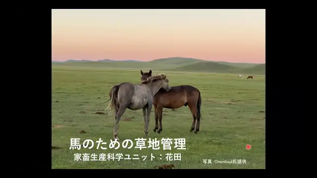 馬学総論Ⅱ_1030-1