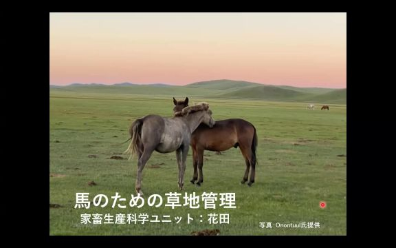 馬学総論Ⅱ_1030-1