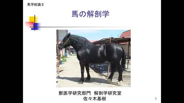 馬学総論Ⅱ_1106