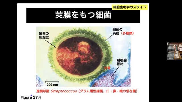 生物学概論_1107