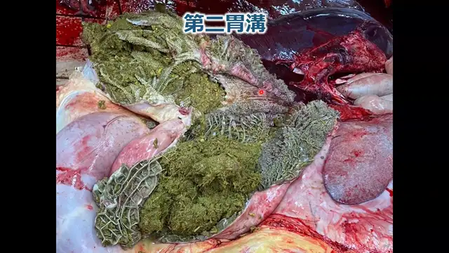 家畜生産衛生学_1111