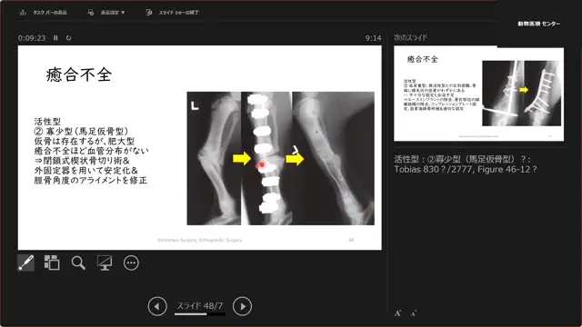 整形外科学_1024