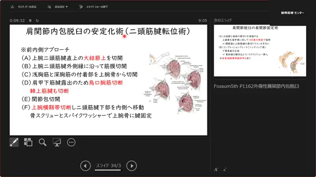 整形外科学_1031