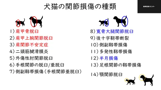 整形外科学_1107