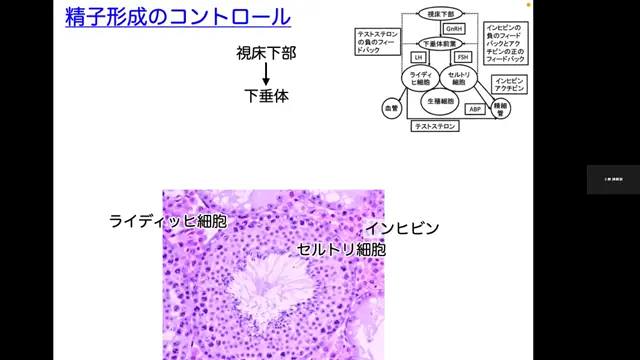 家畜繁殖学_1112