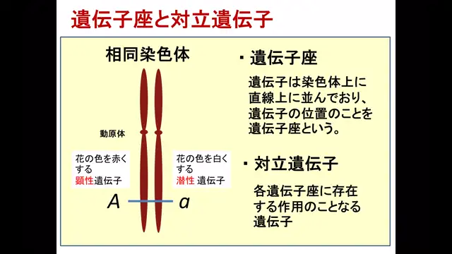 植物ゲノム・分子育種学_1112