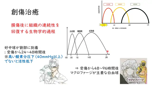 軟部組織外科学_0605