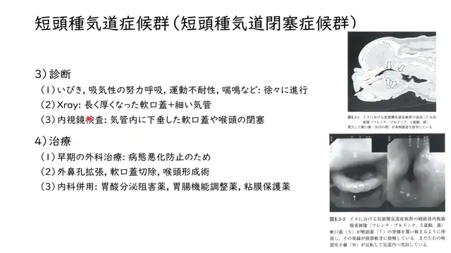 軟部組織外科学_0710