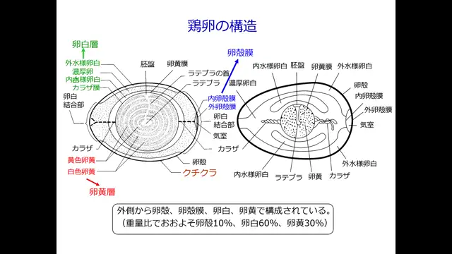 食品製造学_0819-1