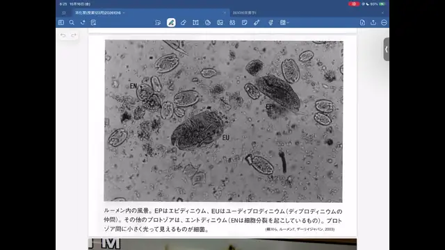 家畜栄養学Ⅰ_1016